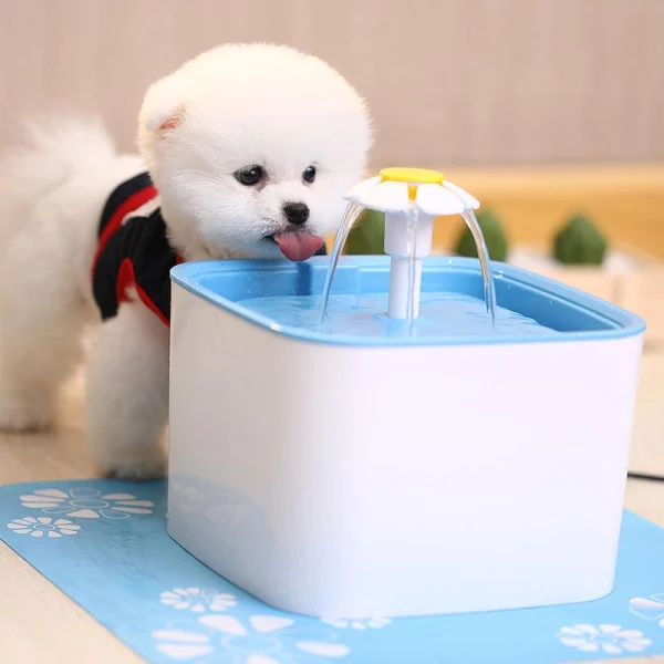 Eco-Friendly Automatic Pet Water Fountain Wholesale Plastic Water Bowl