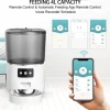 Factory Direct 4L Automatic Wifi Smart Pet Feeder