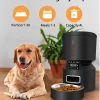 Wholesale Pet Food Feeder 4-6 Meals Auto Cat Dog Food Dispenser