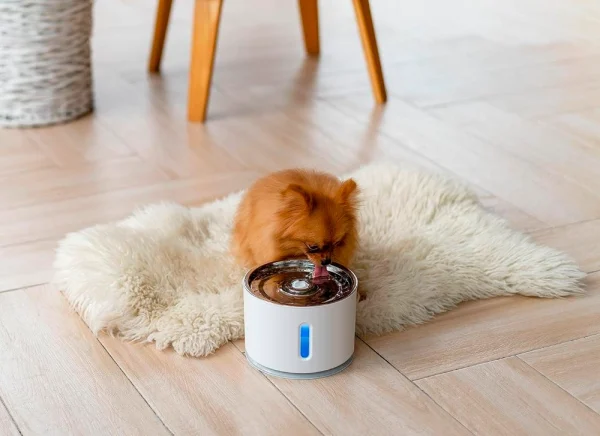 2.5L Automatic Stainless Steel Pet Drinking Fountain Pet Water Dispenser