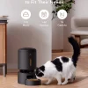App Controlled Automatic Smart Dog Cat Food Dispenser