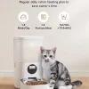 OEM Customizable Timed Automatic Cat Dog Food Dispenser Feeder